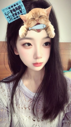 籽菌的照片