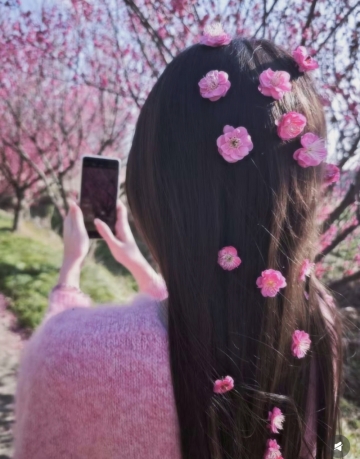 棉花糖云朵的照片