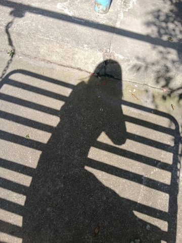 荔枝糖的照片