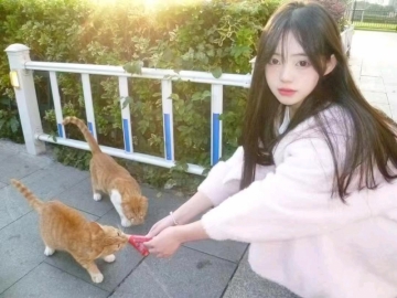 蕊新的照片