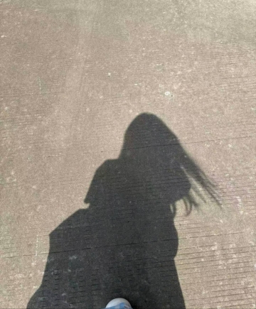 蝴.蝶的照片