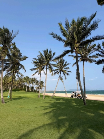 天使宝宝的照片