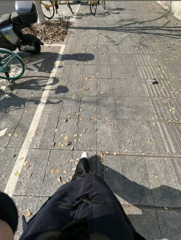 阔爱的小懒猫的照片