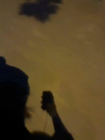 半颗糖的忧伤的照片