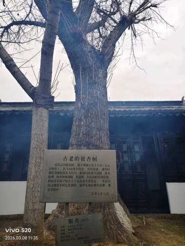 乐予很哇塞的照片
