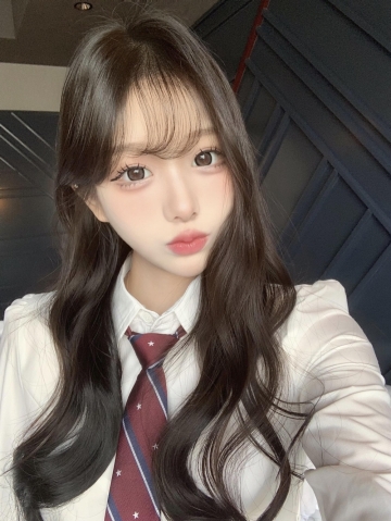 春天的燕子的照片