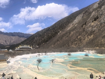 马铃薯打土豆的照片