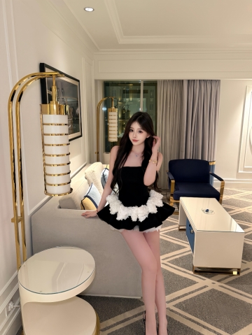 春天的燕子的照片