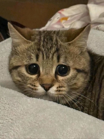 小孩的世界你不懂的照片