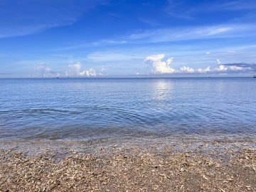 夏出七禾的照片