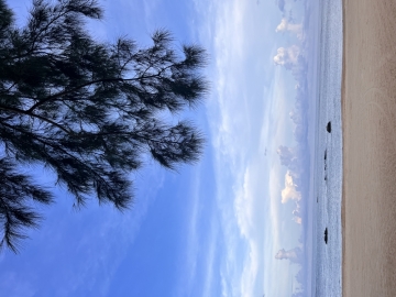 夏出七禾的照片