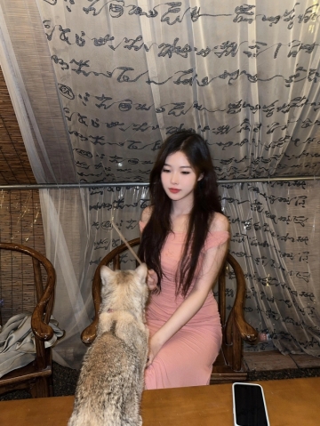 青椒炒肉的照片