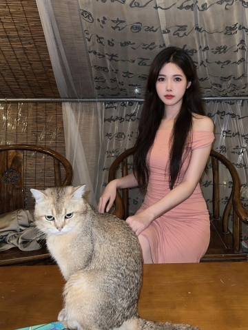 青椒炒肉的照片