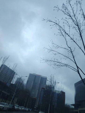 小橘子pule的照片