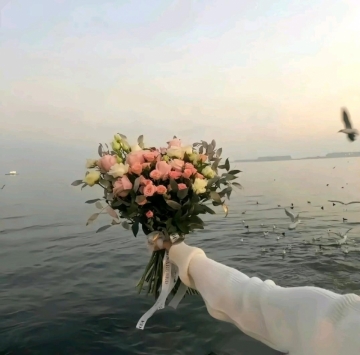 依依向北的照片