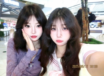 小蛋蛋挞的照片