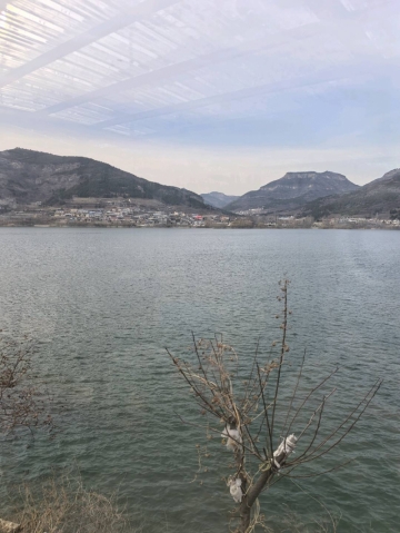 TangTing520的照片