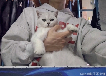 航子不在的照片