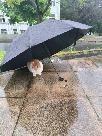 拧夏初开的照片