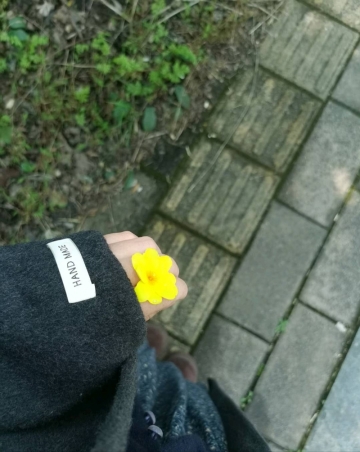 喜洋洋jy的照片