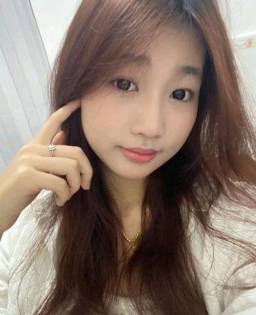 羞涩的木槿的照片