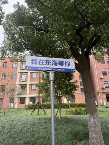 无忧的歆歆的照片