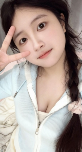 落日月葵的照片