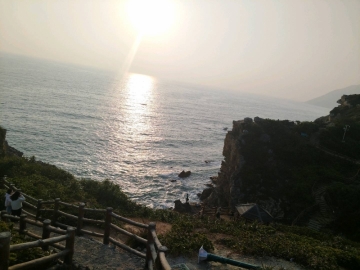 花瓣薇薇的照片