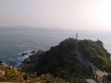 花瓣薇薇的照片