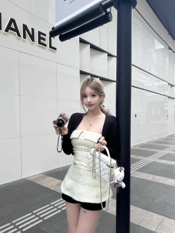 春天的燕子的照片