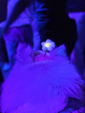 海归钢琴老师的照片