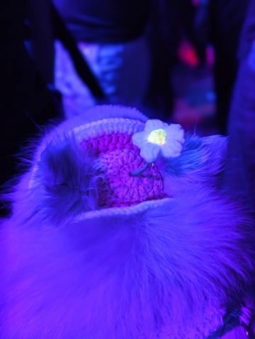 海归钢琴老师的照片