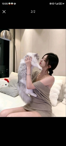 冰冰的照片