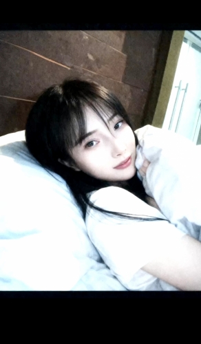 不吃萝卜的兔子的照片