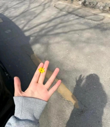 荔枝糖的照片