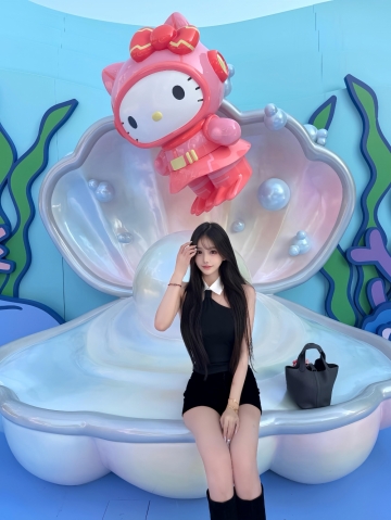 春天的燕子的照片