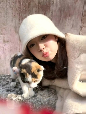 管乐的照片