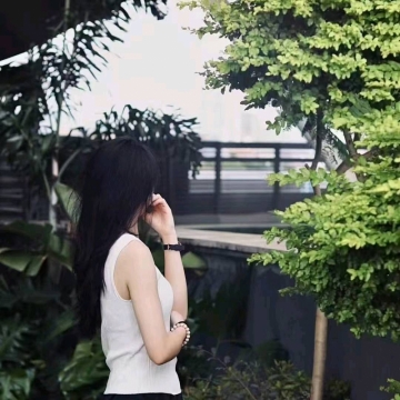 布丁芒果的照片