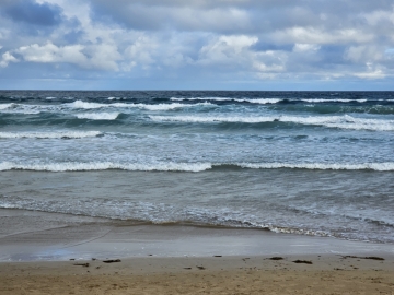 海归钢琴老师的照片