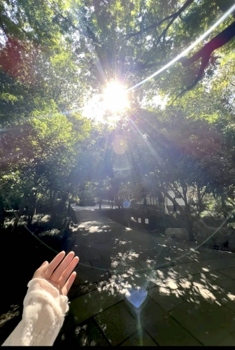 睡个好觉z的照片