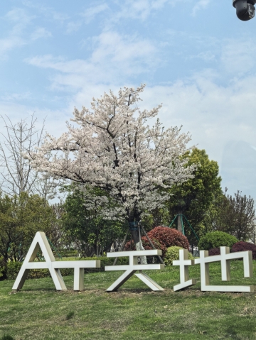 海归钢琴老师的照片