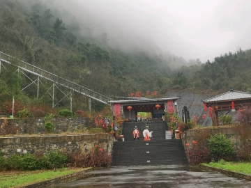 羊羊睡不醒的照片