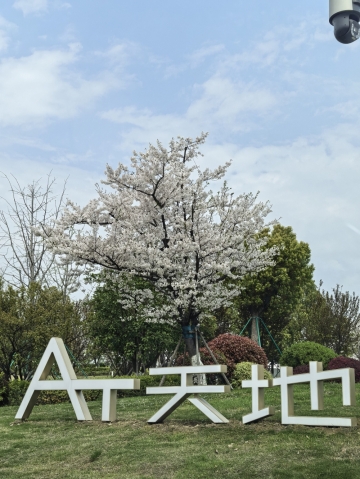 海归钢琴老师的照片