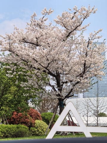 海归钢琴老师的照片