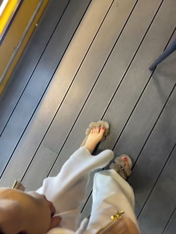 小可爱是我的照片