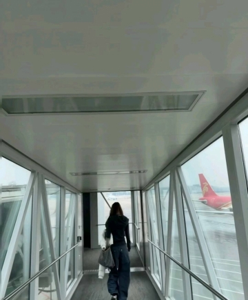 一只小麦的照片