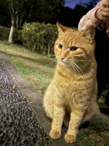 有点清新有点可爱的照片