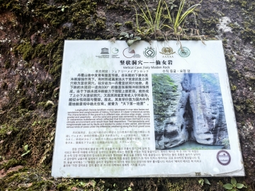 刘浪0798的照片