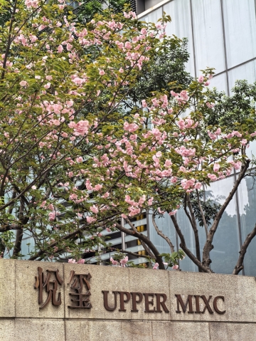 海归钢琴老师的照片