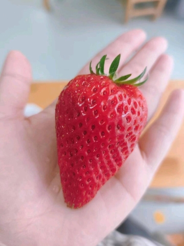 愿時光不被辜负的照片